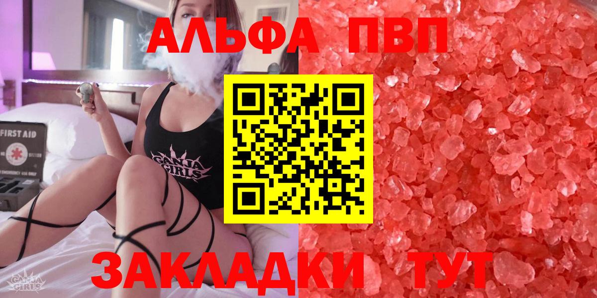Alfa_PVP СК Гудермес