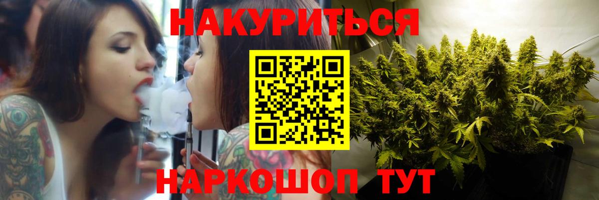 Конопля конопля Гудермес